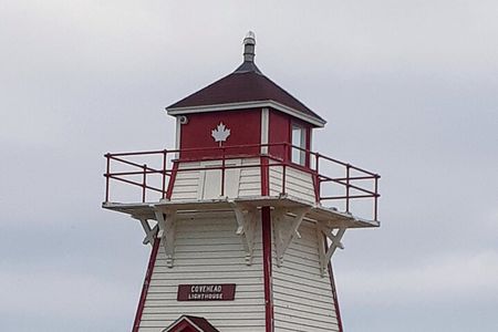 Deluxe North Shore and City Tour