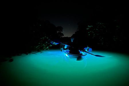 CLEAR Kayak Sunset & Light Tour - Bonita Springs / Ft Myers Beach