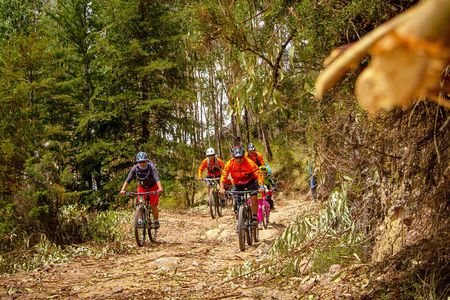 Bike and Ceviche Tour in Cusco - MTB