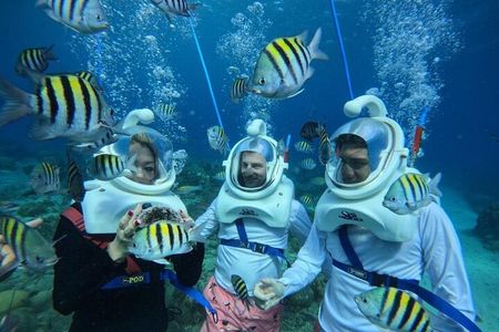 Curacao Guided Underwater Walking Tour, No Swimming Skills Needed