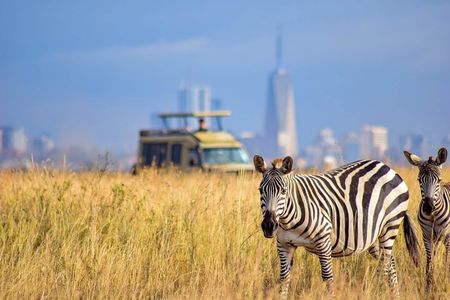 Nairobi National Park with Elephant Orphanage and Giraffe Center.