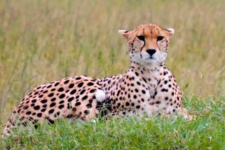 8 Day Bush and Beach Private Holiday Safari