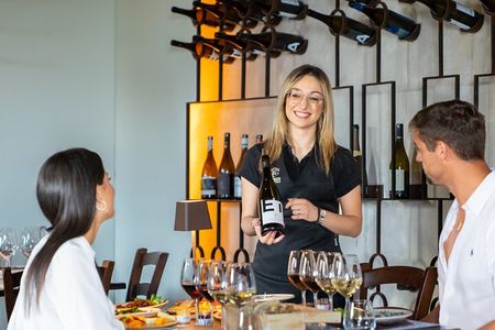 Mt Etna and Wine tasting tour from Taormina - Private or Shared