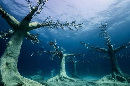 Private Scuba Dive / Try Dive at Musan Underwater Park 