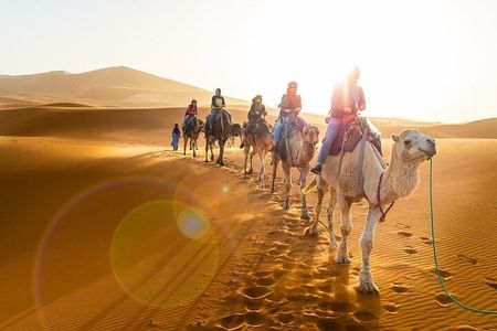Sunset & Sunrise In Merzouga Desert by Camel Ride or Jeep Safaris
