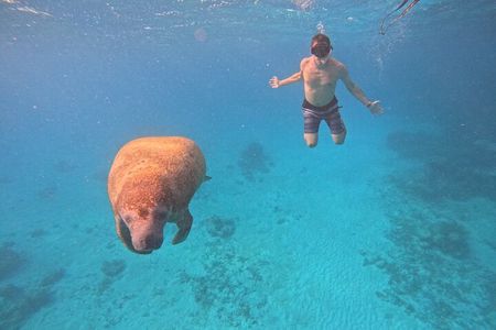 Let's snorkel Hol Chan the Best Marine Reserve in Belize