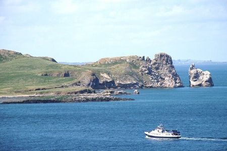 Howth - Howth Cliffs & Ireland's Eye 1 hour Tour