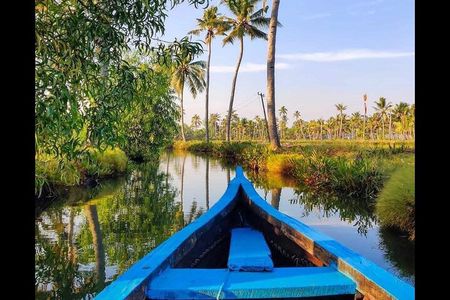 Backwater Village Life Tour from Kochi –Country Boat: Local Lunch