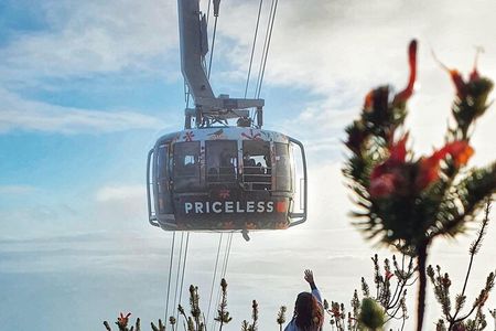 Table Mountain & Capetown City Tour with Local Tour Guide