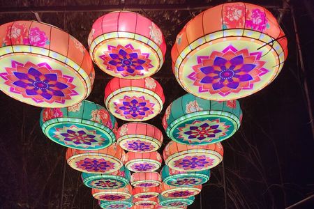 Holiday Lights Tour with Asian Lantern Festival Visit