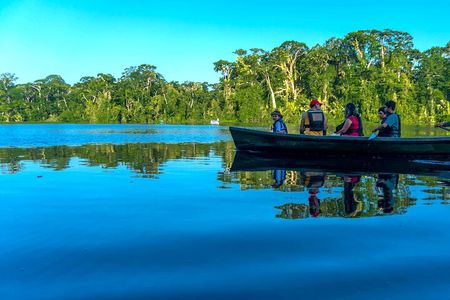 Tortuguero: Canoe tour + Night Jungle or Spawn Turtle 