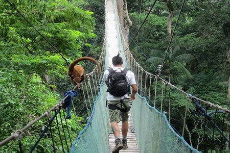 4-Day Tambopata National Reserve – Tambopata Peru Tours