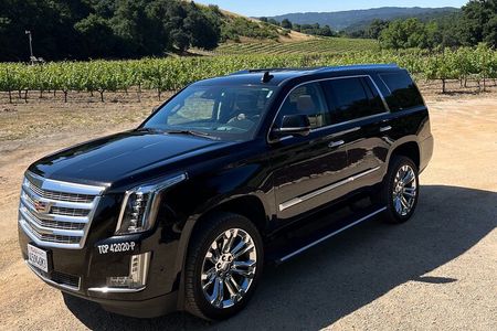 Luxury Wine Tour in Paso Robles, with a Winemaker
