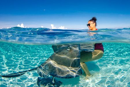 4 hour Private Boat charter to Stingray City, Snorkeling and More