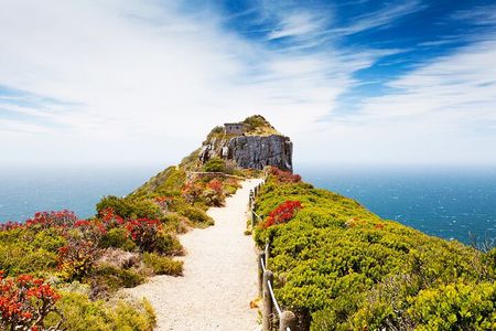 Cape Point and Boulder’s Penguin Private Adventure
