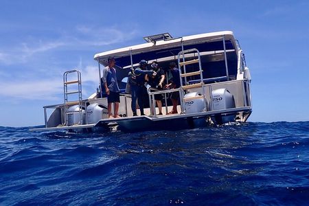 Diving in Koh Tao