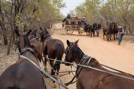 Cobb & Co Stagecoach Experience in Longreach