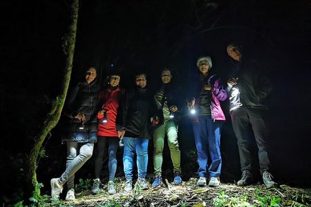 Night Walk in the Monteverde Cloud Forest. 