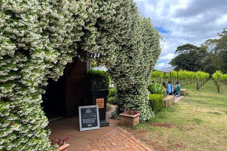 Deluxe Winery Tour to Tamborine Mountain (Mon-Tues)