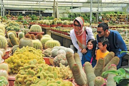 Private Nature Trip to Cameron Highlands from Kuala Lumpur