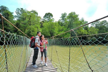 Taman Negara Day Trip from Kuala Lumpur with Lunch