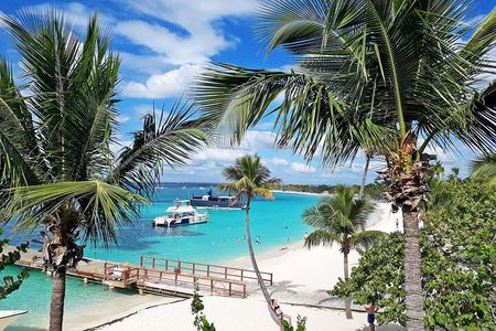 Saona Island Tour and Catamaran Party from Punta Cana