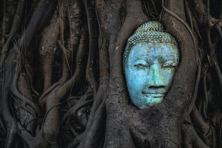 Ayutthaya Landmark Tour with ATV, Floating Market, Famous Temples