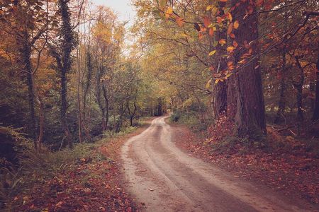 Killarney Luxury Private National Park Adventure