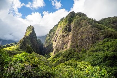 Golden Pineapples & Hidden Gems: A Private Upcountry Tour