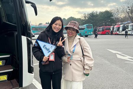 Seoul City Private Tour (Optional : Seoul, DMZ, Nami Island)
