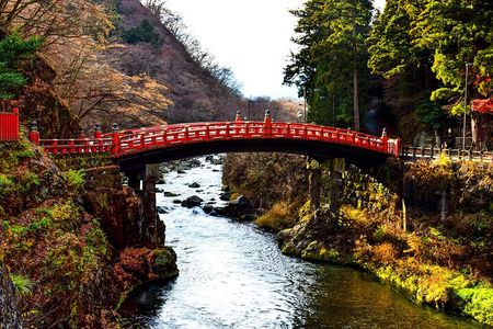 Nikko Full-Day Private Tour from Tokyo (Customizable)