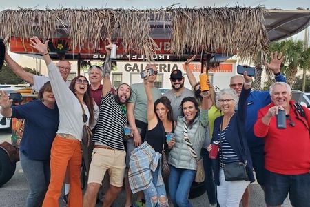 Party Bike through St. Pete with Bar+Mural Stops on Trolley Pub