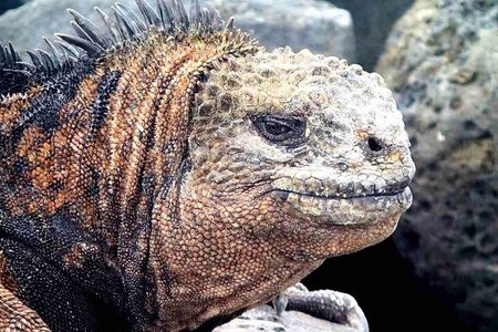 6 Days Galapagos Island Hopping