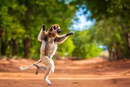 8 Day -RN7 Road trip tour to South Mangily Ifaty