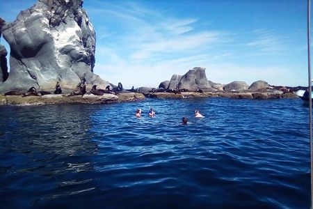 Best Tour to Coronados Island