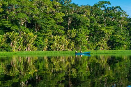 Tortuguero:Canoe tour, day hike, hill tour, night or spawning tour