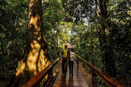 4 Day Tour in Tambopata National Reserve