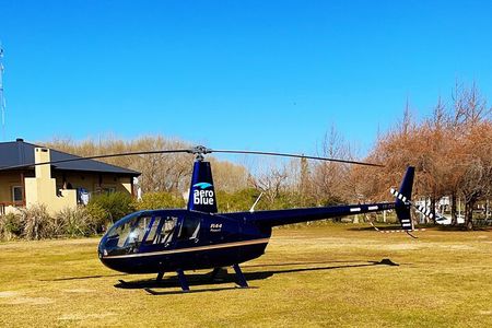 Helitour over the City of Buenos Aires and lunch in the delta