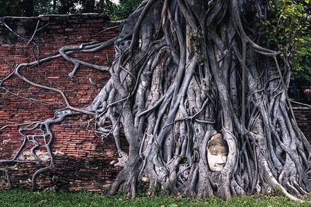 Ayutthaya Landmark Tour with Famous Temple & Floating Market