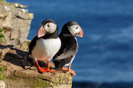 Unforgettable 5-Day Iceland Stopover Tour