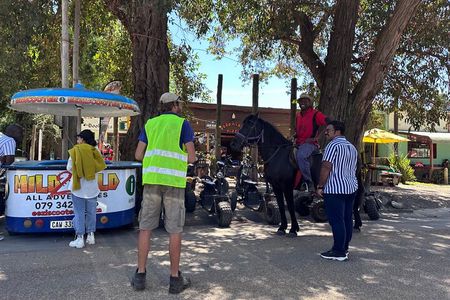2 Hour Storms River Horse Trails Activity 