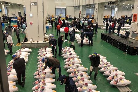 Morning Market Adventure: Toyosu & Tsukiji with Tuna Auction