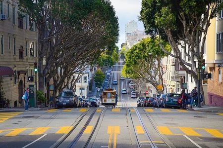 San Francisco Private City Tour (Walking, Private Bus, Shuttle)