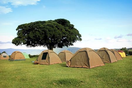 6 Days in the Wild – A Budget Safari Across Tanzania’s Icons