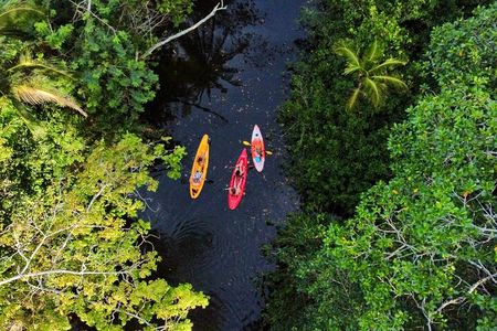 Puerto Viejo Sloth Jungle and River Kayaking Tour