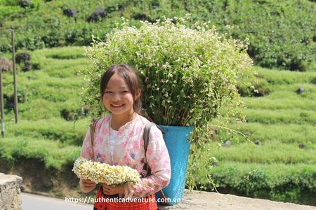 6 - 8 Day Vietnam Itinerary | Magnificent | Best 2025 Northern 