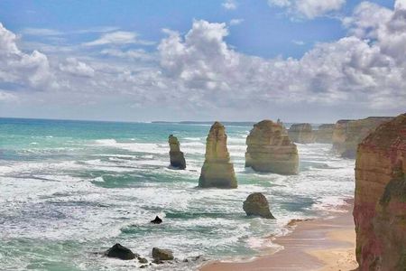 Small group Great Ocean Road Reverse & Wildlife spotting