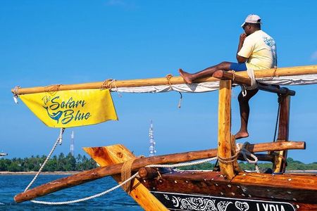 Safari Blue Private Full-Day Tour