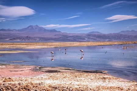 4 Tours to Discover Atacama (3 days)