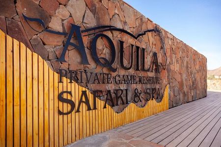 Aquila Safari Game Drive Lunch & Transfers from Cape Town